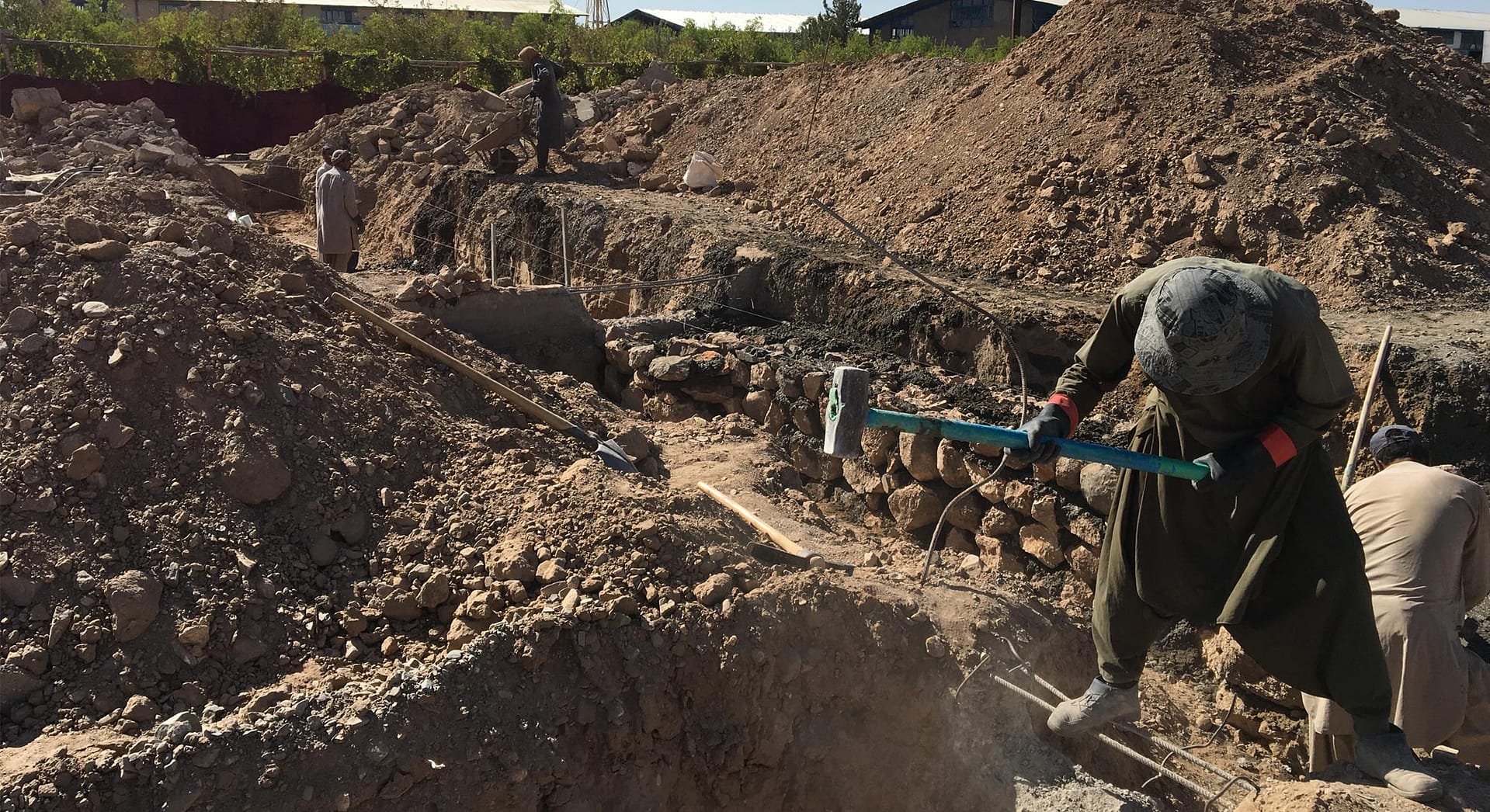 Pamir Cola | Slider 9